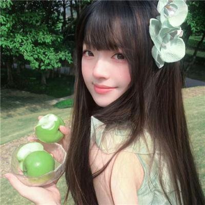 禁宫龙虎斗